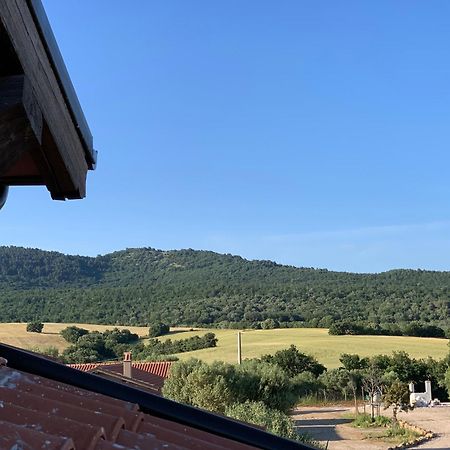 Musignano  Il Poggio Di Musignanoヴィラ エクステリア 写真