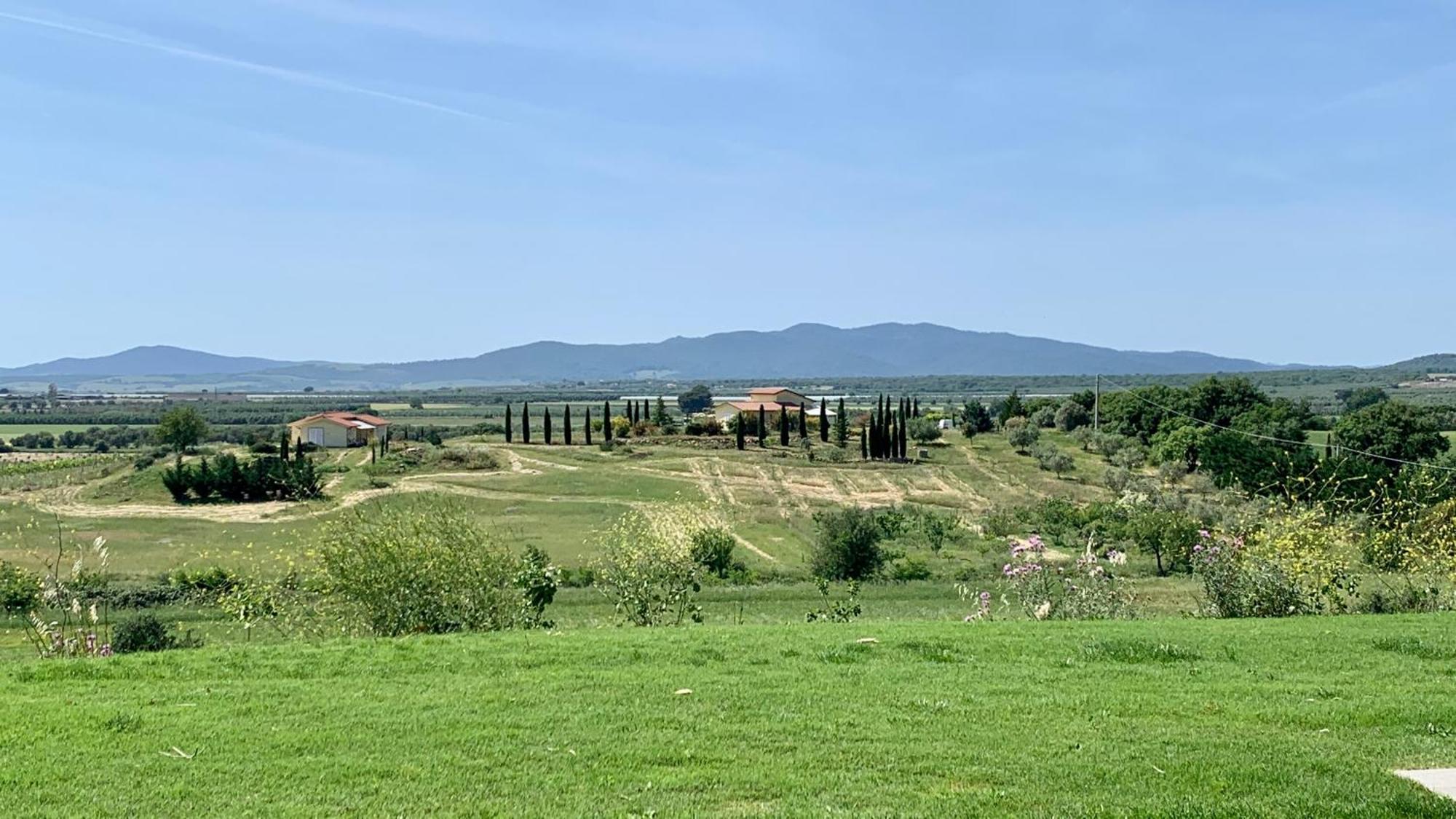 Musignano  Il Poggio Di Musignanoヴィラ エクステリア 写真